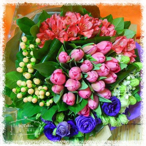 Pink Tulip Bouquet in nice packing (20pcs)