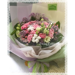 Carnation Bouquet (24pcs)