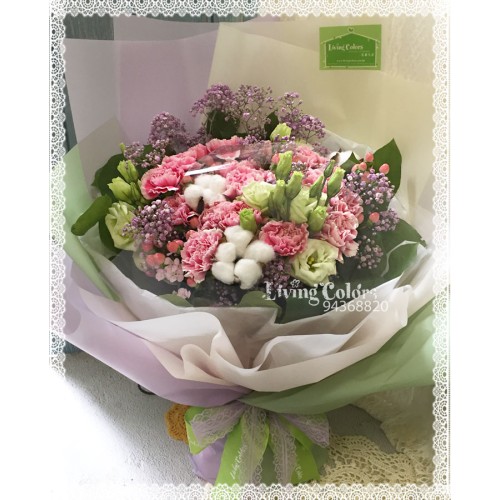 Carnation Bouquet (24pcs)
